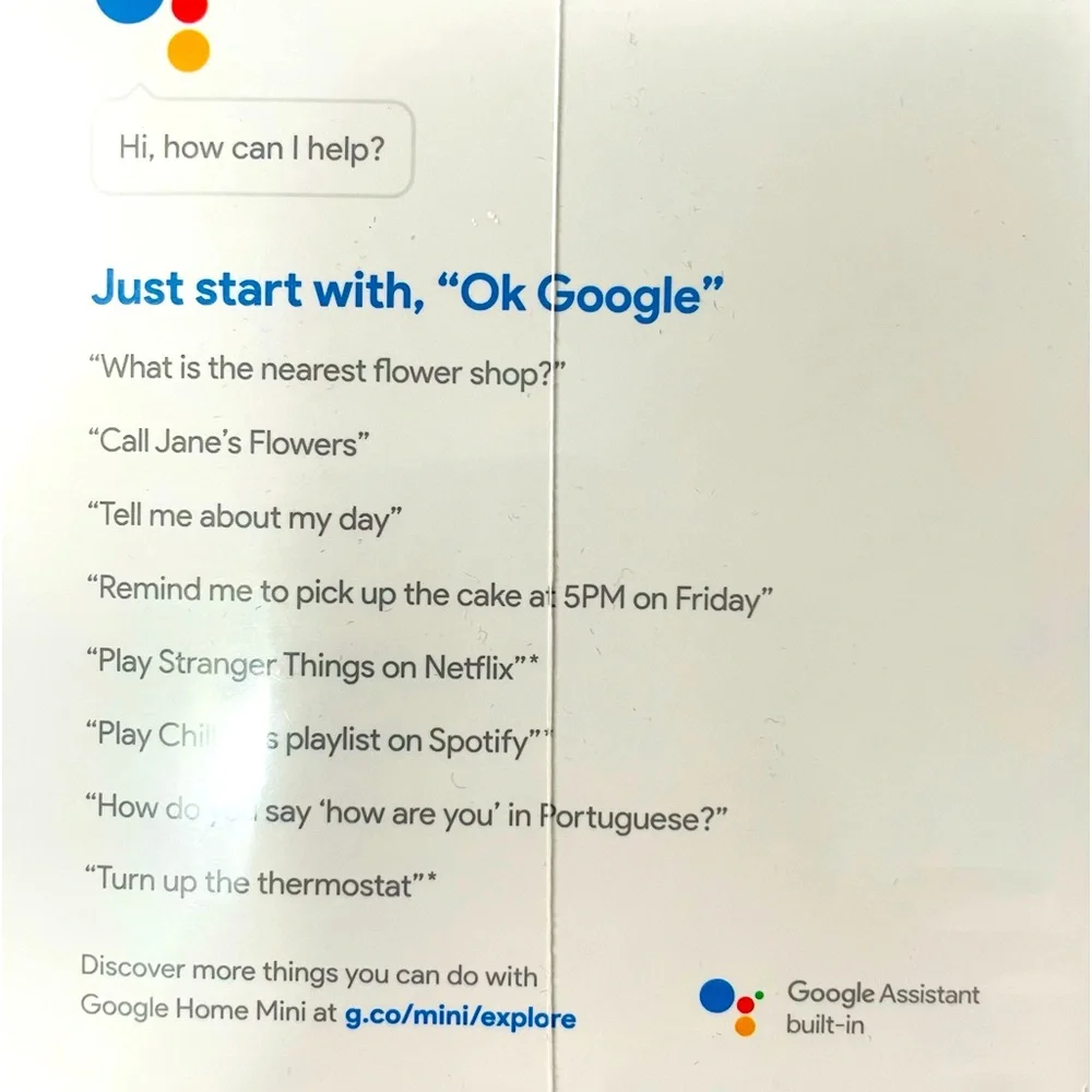 Google Home Mini